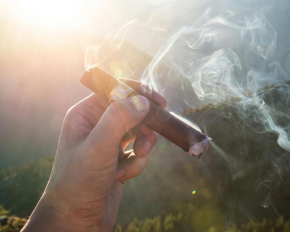 Cigar Detective - Best Premium Cigars of 2024 A Curated List for Beginners and Seasoned Smokers