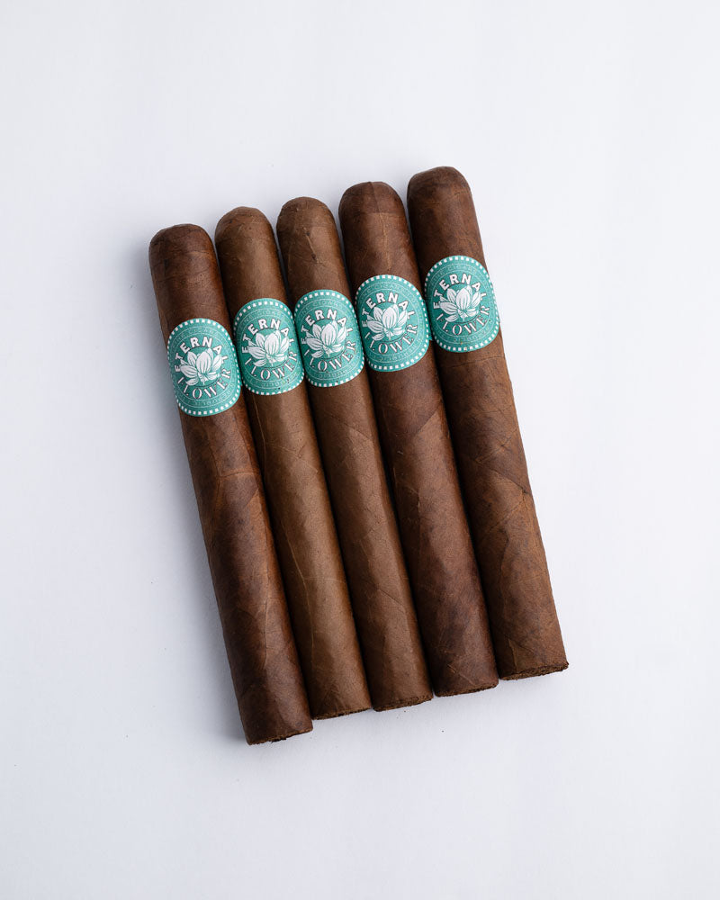 Cigar Detective - Eternal Flower Premium Cigar