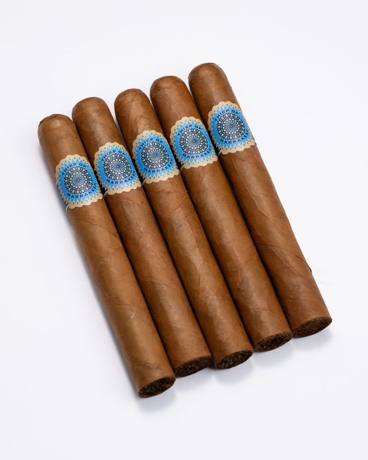 THIEF OF MARRAKESH HABANO